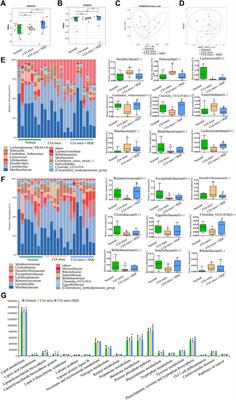 Huangqin Qingre Chubi Capsule inhibits rheumatoid arthritis by regulating intestinal flora and improving intestinal barrier